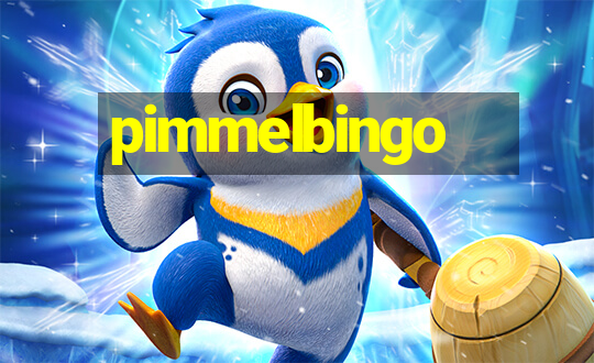 pimmelbingo