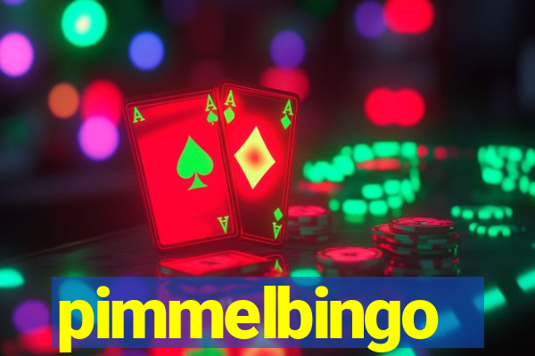 pimmelbingo