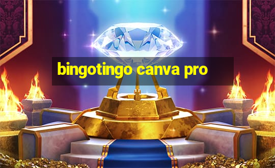 bingotingo canva pro