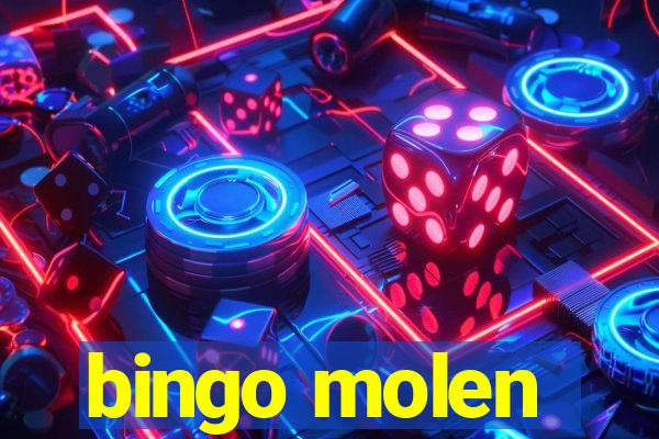 bingo molen